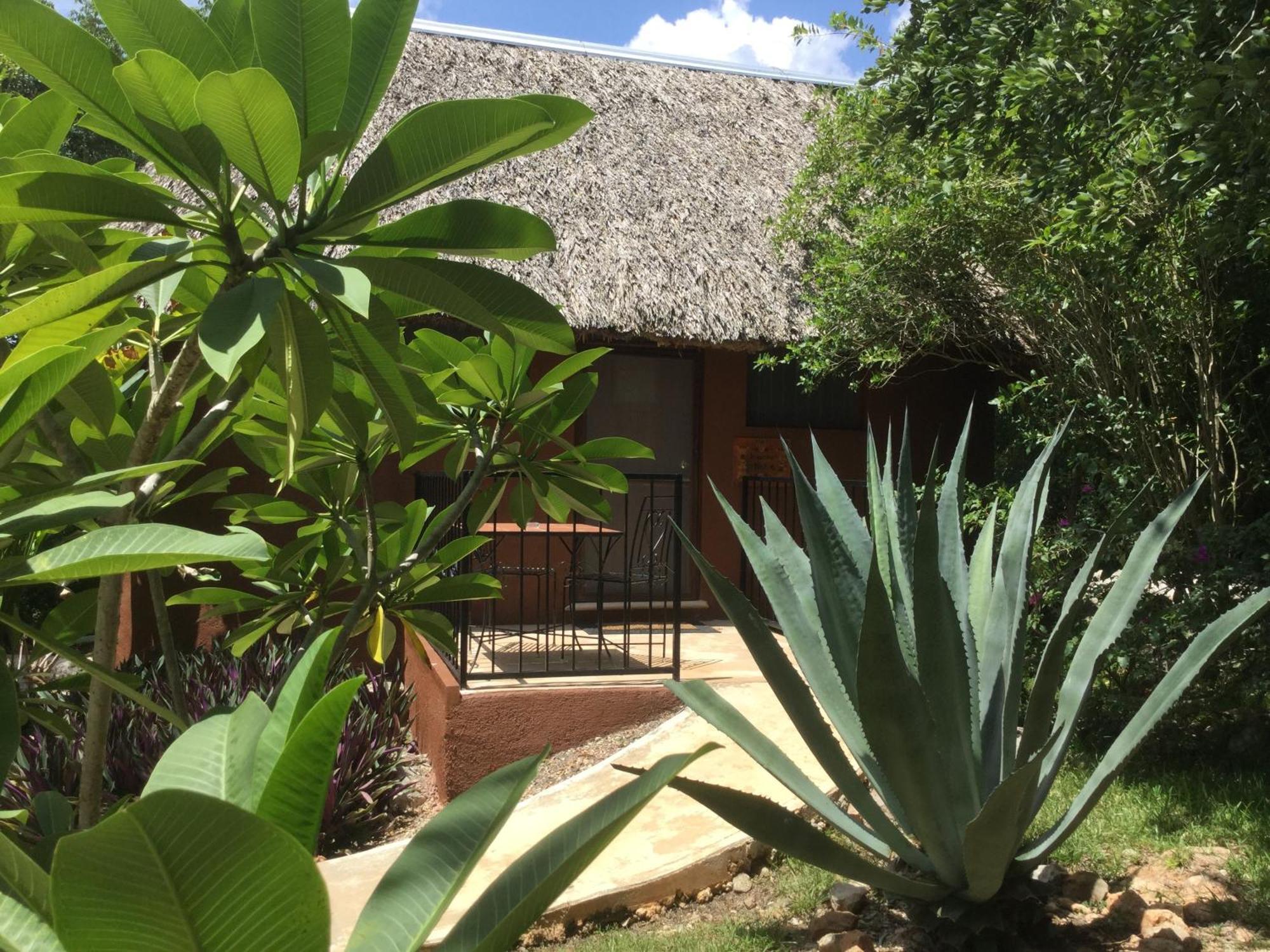 The Pickled Onion B&B And Restaurant Uxmal Santa Elena Oda fotoğraf