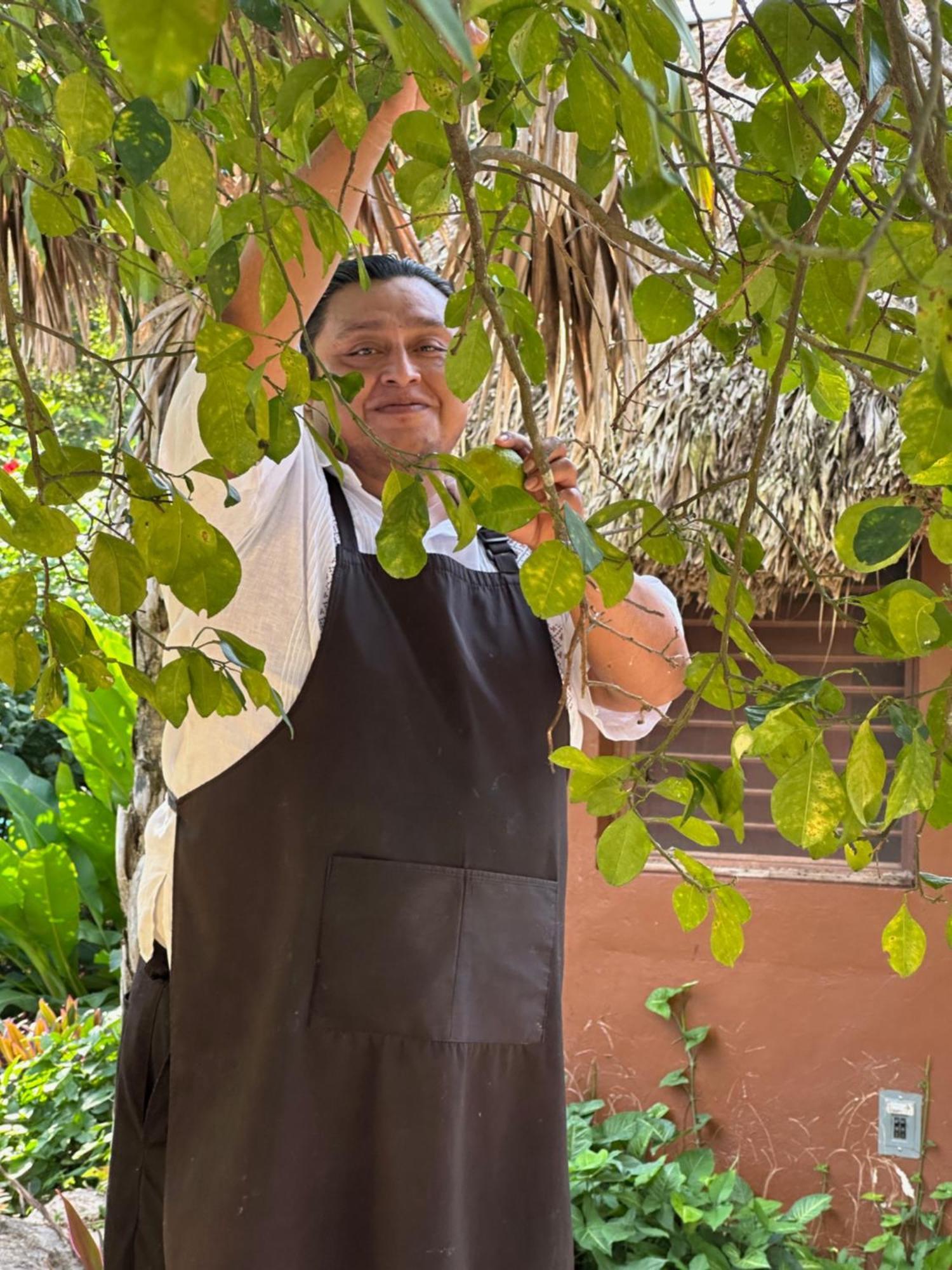 The Pickled Onion B&B And Restaurant Uxmal Santa Elena Dış mekan fotoğraf